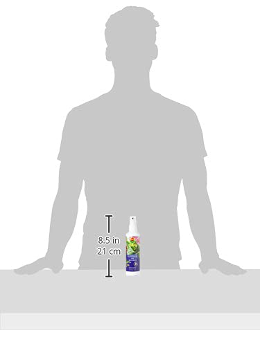 Compo Blattpflege fr alle Orchideenarten, Sprhflasche, 250 ml (Packung  mit 2) : Amazon.de: Garten