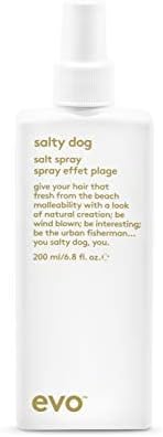 evo Salty Dog Salt Spray - Hair Texture & Volume Spray - Beach Textured Hair, Natural Matte Finish - 200ml / 6.8fl.oz