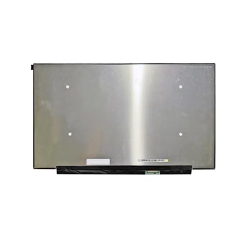 Écran LCD NE173QHM-NZ1 dalle de rechange matte 17,3" pour PC portable reconditionné