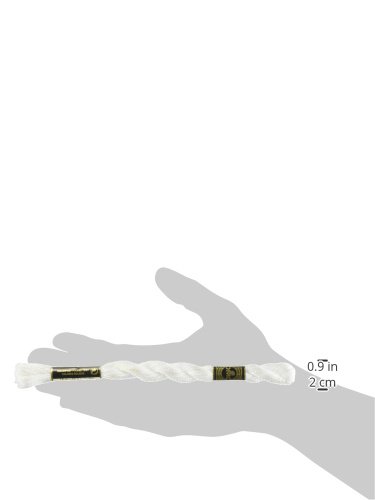 Hilo de Algodón Pearl Cotton DMC Blanco Nieve 16 yd miniatura 2