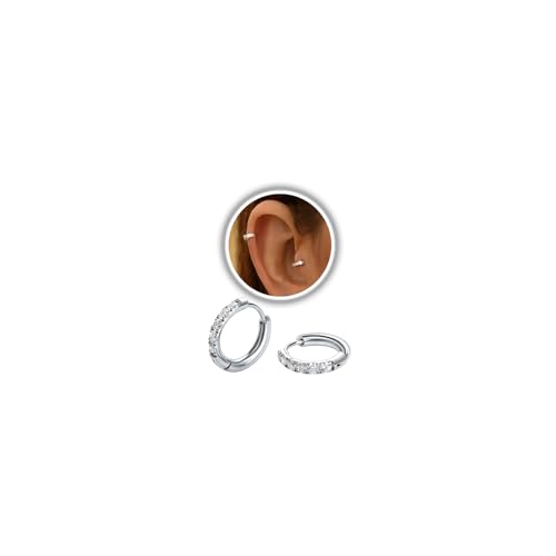 TESGADGETS kleine silberne Creolen mit chirurgischem 316L Stahl Scharnier Huggie Creolen für Knorpel, Helix, Tragus, leichte hypoallergene Ohrringe (6 mm, Silber)
