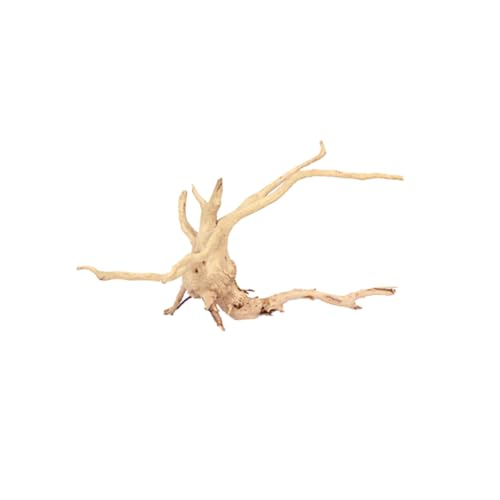 BESPORTBLE Real Wood Driftwood Branch Aquarium Decorations for Tank Unique Shape Size Random Style