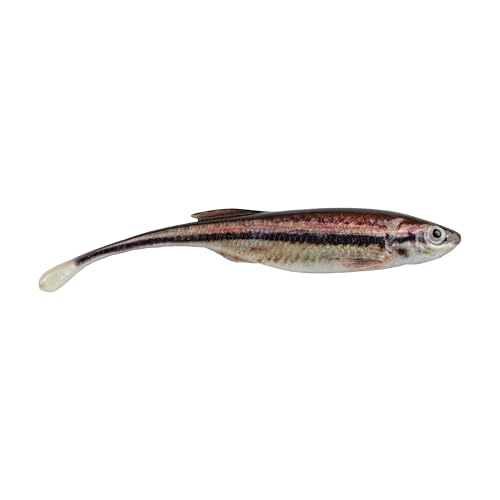 Berkley PowerBait Drip Minnow Fishing Bait HD Blacknose Shiner 3 in Irresistible Flavor Realistic Body and Head Subtle Action Ideal for Finesse Techniques
