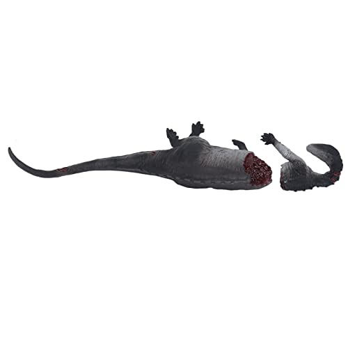 Modelo de Cadáver de Dinosaurio, Modelo de Dinosaurio Vívido único de Animal Prehistórico de PVC Seguro Realista para Jardín de Infantes para Actividades de Fiesta (cadáver de