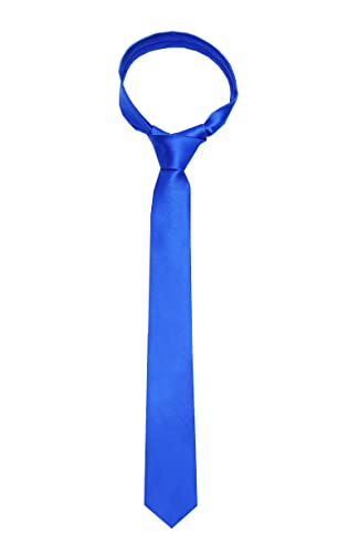 Image of TIE STUDIO Mens Formal Neckties| Standard Size | Premium fabric | Superior finishing| Packaging - Folder | Set of 1