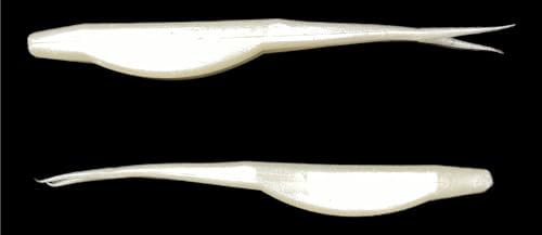 Phat Pak Baits - Drunkin Shad Zoom Super Fluke Style Soft Jerkbait 5" 20ct Soft Plastic Bass Fishing Lure - Pearl/White Shad