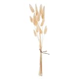 Ganz Artificial Plant Faux Foliage Greenery 13.75 Inch Natural Fibers Foxtail Grass Bundle
