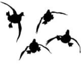 Waterfowl Decals Sticker - 4 Ducks Coming at Ya' 5010MW - Medium/White