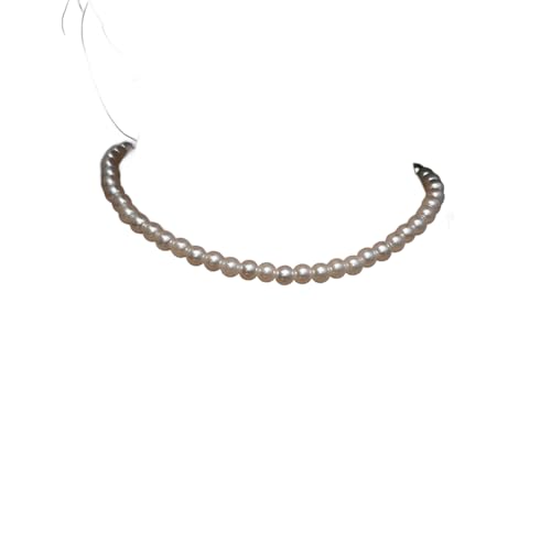 Tbƈ_ŋCiUP^fUCp[lbNXؗ؍t@bV