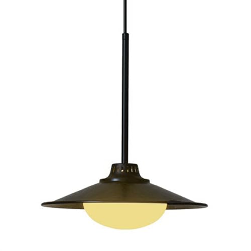 Lampe suspendue style industriel en fer noir pour bar et café