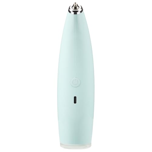 Vaporisateur facial portable atomisation USB pour femme
