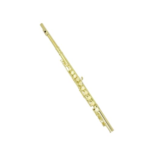 16CL[t[gbLyAnhobOAvAN[jONXANZT[t Agt[g