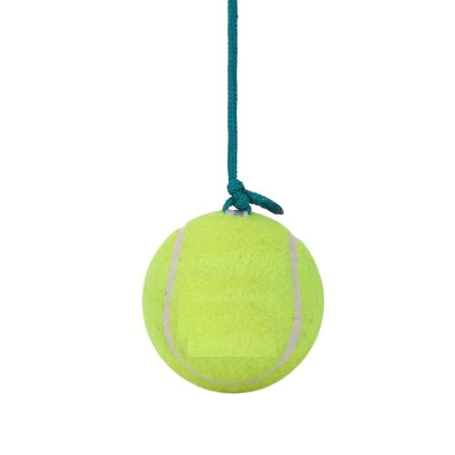Glory Tennis Cricket Practice Ball for Kids & Adults (All-Season, Pack of 1) (B0CFR51SXT) Amazon Price History, Amazon Price Tracker