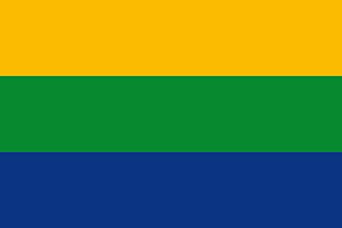 Drapeau XL Anzoátegui Tolima résistant aux intempéries pour extérieur