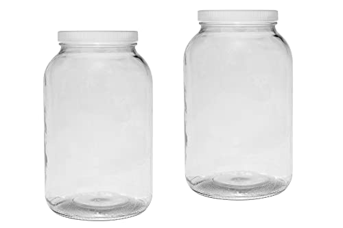 1 Gallon Glass Jar, Plastic Airtight Lid, Wide Mouth Easy to Clean, BPA Free & Dishwasher Safe, Kombucha, Kefir, Canning, Sun Tea, Fermentation, Food, Storing, Pickling, Preserving, Set of two (2)