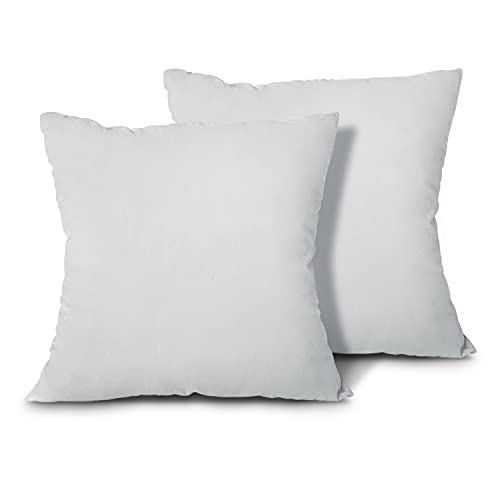Image of EDOW Throw Pillow Inserts, Set of 2 Lightweight Down Alternative Polyester Pillow, Couch Cushion, Sham Stuffer, Machine Washable. (Grey, 16x16)