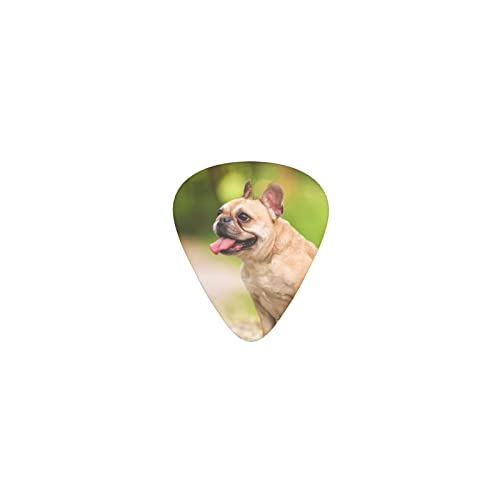 �t�����`�u���h�b�O �f�U�C���M�^�[�s�b�N guitar pick �e�B�A�h���b�v�^ �G���L�M�^�[/�A�R�[�X�e�B�b�N�M�^�[/�N���V�b�N�M�^�[/�x�[�X���̗��K�ɍœK��12���Z�b�g