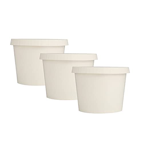 Image of [500 ml, 15 Count, White Disposable Bagasse Paper Container with Lid | Eco-Friendly Bowl /Tub for Picnic, Travel, Food Truck | Ideal for Both Hot & Cold Food