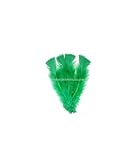 Artipistilos® Bolsa De Plumas Turkey Flat - Bolsa De 10 Grs. Aprox 50 Plumas, Verde - Bolsas