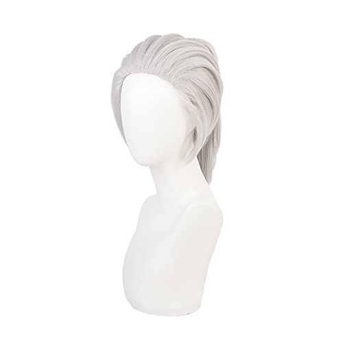 ZGNGLIZ Anime Cosplay Wig Long Short Synthetic Hair for Halloween Costume Party with Free Wig Cap (Short Silver Gray)
