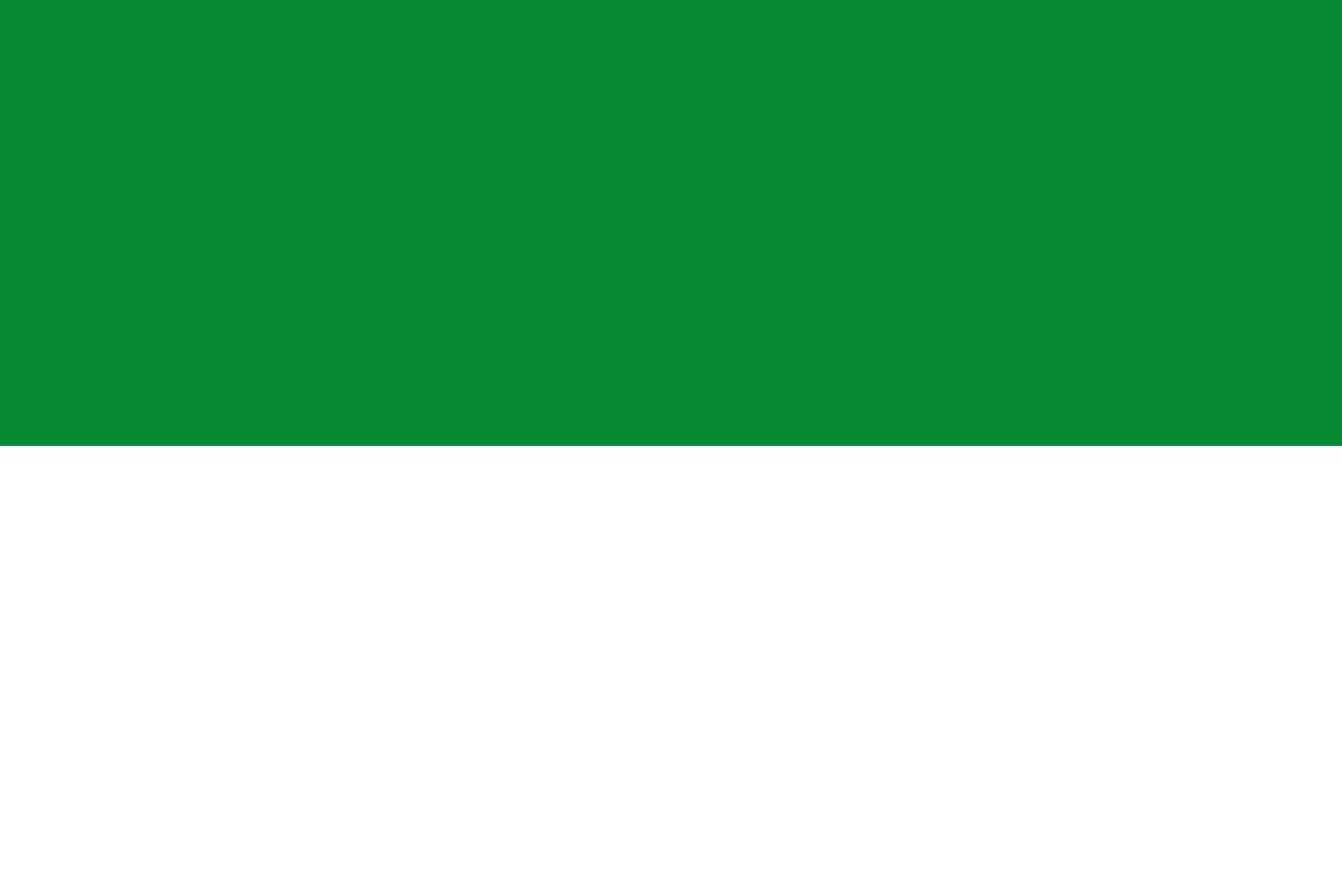 Drapeau Gennep vlag grand format pour pavoiser vos commémorations