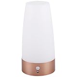Veilleuse pour armoire : en mode détecteur de mouvement, elle s’allume automatiquement et éclaire votre chemin. lampe torche de nuit