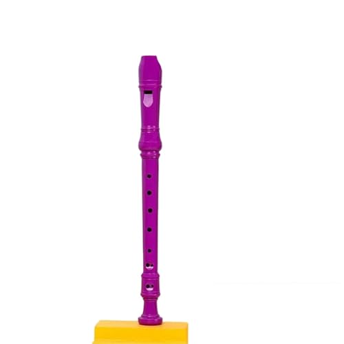 Flûte à bec à 8 trous en Sol pour débutant modèle violet