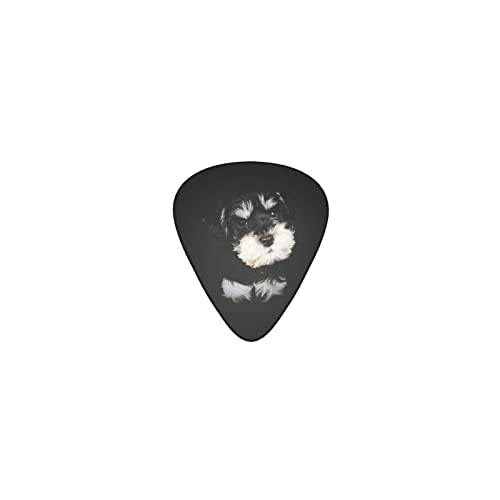 ~j`AEViEU[̎q fUCM^[sbN guitar pick eBAhbv^ GLM^[/AR[XeBbNM^[/NVbNM^[/x[X̗KɍœK12Zbg