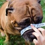 Strong Metal Wire Basket Dog Muzzle for American Bully (BA, Black leather/Silver), Black leather / Silver - Image 4
