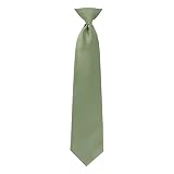 boxed-gifts Boy's Solid Clip on Tie