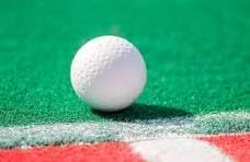 Premium Hockey Ball for Sport, Turf Ball for Practice and Competition (Pack of 1) 1