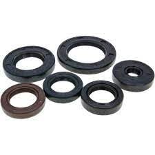Speedy Deals Engine Oil Seal Kit for TVS RTR 160 4V BS6 Fi Virsion 2020 Model | Premium Seals | Reliable Performance | Long-Lasting Rubber Components | Perfect Fit-picture-32