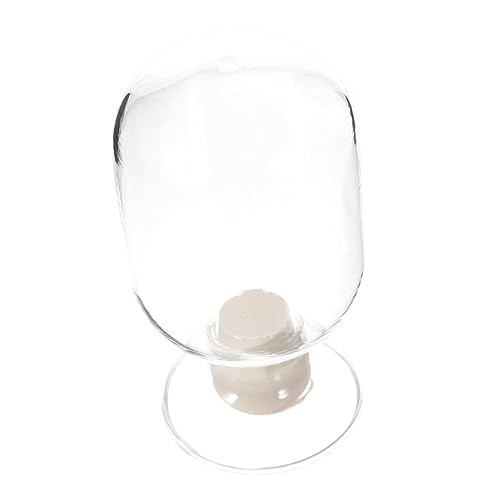 GOOHOCHY Glass Storage Holder Sample Bottle Specimen Display Bottle Matches Bell Jar
