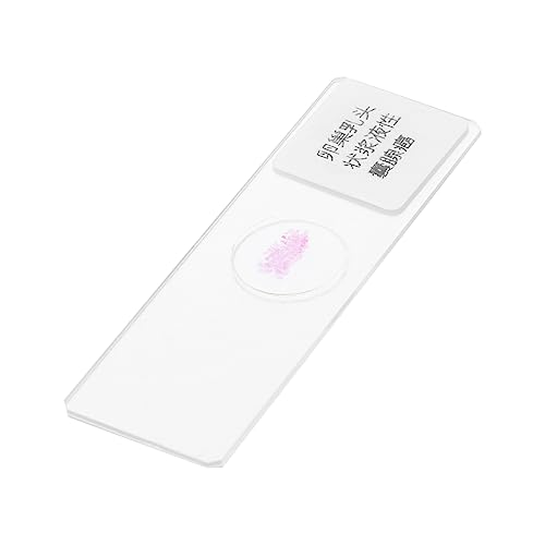 VILLFUL 1pc Pathology Section Microscope Slide Microscope Accessories Microscope Specimen Slide Bioexperiment Slide Biology Class Prop Specimens Science Education Glass