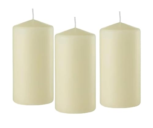 D'light Online 3 X 6 Pillar Inch Candles Set of 12 Bulk Event Pack Round Unscented Premium Wax Pillar Candles for Wedding, Spa, Party, Birthday, Holiday, Bath and Home Decor (3X6, Ivory)