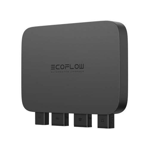 Chargeur de Batterie de Voiture EcoFlow 800 W, Chargeur Rapide et Polyvalent 3 en 1, Mainteneur de Batterie et démarreur de Secours, Installation Facile,Recharge des Stations électriques