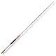 Trout Master Passion Trout Spoon & Softbait 1,80m 1-6g – Spoonrute zum Forellenangeln, Spinnrute, Forellenrute, Rute
