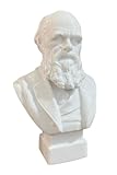 Charles Darwin Bust 13cm Theory of Evolution Decorative Figure, Office or Home Decor Gift for Darwin Fans