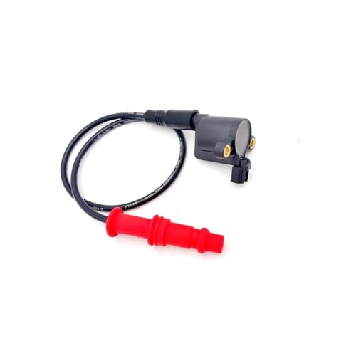 Bobine d'allumage avec fil de bougie d'allumage pour Polaris 4011834 4015072