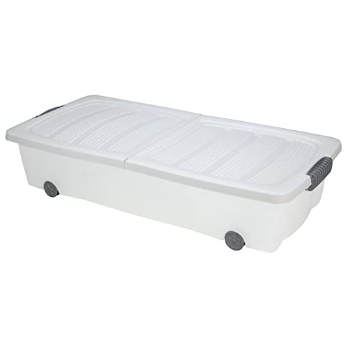 Koopman Rollerbox Unterbettbox auf Rollen mit anthrazitfarbenem Deckel, 80 x 40 x 17 cm, weiß/transparent