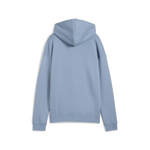 PUMA Sweat à Capuche décontracté Unisexe Class FL (Lot de 1)