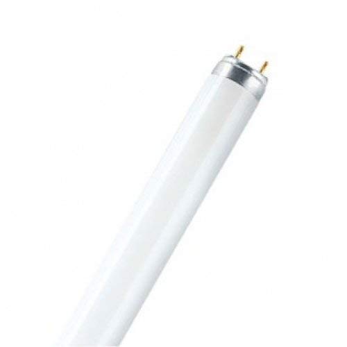 Price comparison product image Radium 31510605 Leuchtstoffröhre Spectralux Plus 38W / 830 warm white G13 NL-T8