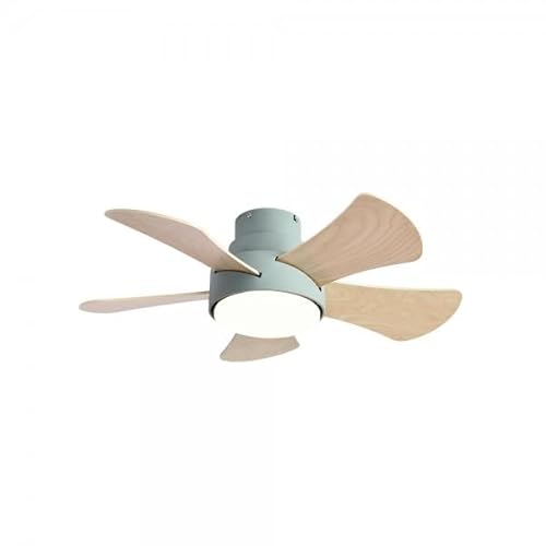 Bilake Lámpara Ventilador de Techo DC Verde Gregorio 25W 5 ASP. Blanco Haya 2495 LM 3000-4000-6000 K