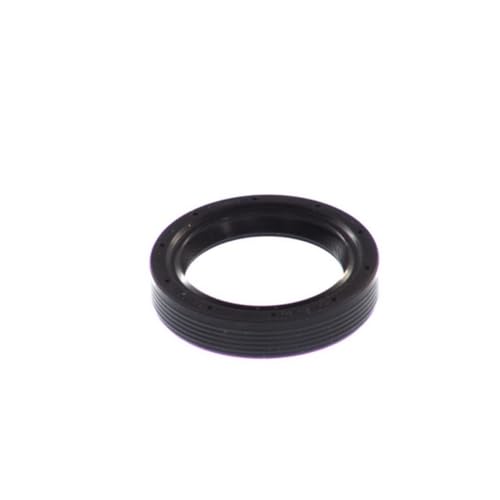 PAYEN AE ITALIA GP475.961 Elring,