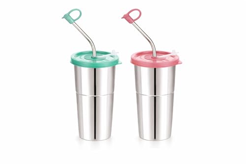 Image of Stainless Steel Fusion Glass Tumbler with Stainless Steel Metal Straws and Cleaning Brush with Lid (LD SIP 2) 400ML