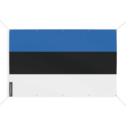 Drapeau Estonie 10 oeillets 90 x 135 cm pavillon estonien taille S - 2