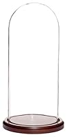 Algopix Similar Product 1 - Plymor 55 x 13 Glass Display Dome