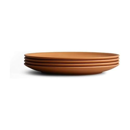 Year & Day Outdoor Set of 4 Unbreakable Lightweight Salad Plates, Plant Derived, Canyon Terracotta, 8.5 inch