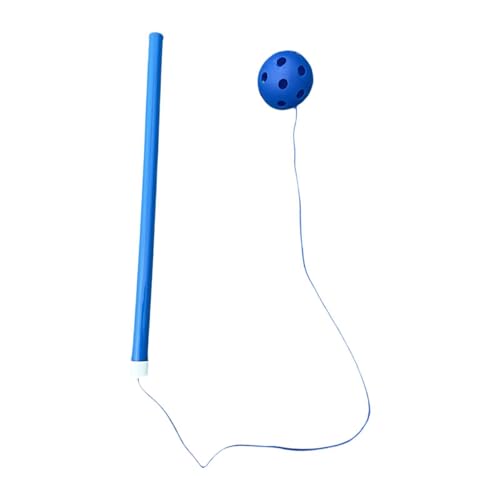 KQFCAZRE q̒˕Ԃ{[ANrxeqǂ̃ANeBreBtBbglX@퉮OLbYc, 