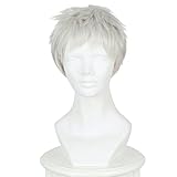 REYHS Anime Wig Soldier 76 Cosplay Wig For Overwatch,Short Silver Grey Wig,Costume Halloween Wig,For...